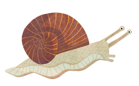 snail