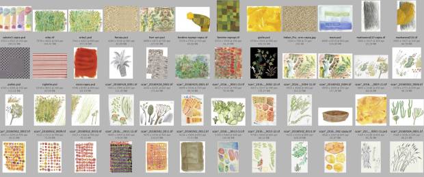 topiopi scansioni.jpg